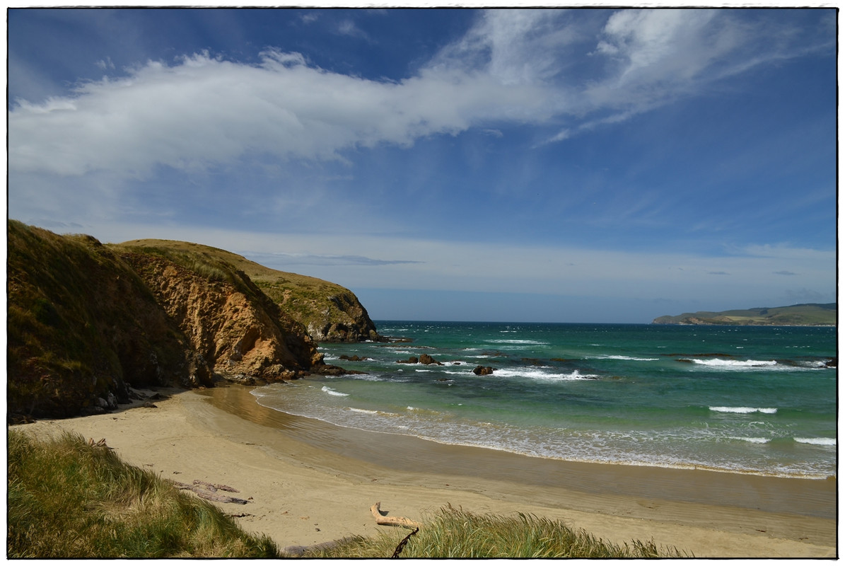 ¿Lo mejor de la isla Sur en 9 días? (Navidad 2018) - Escapadas y rutas por la Nueva Zelanda menos conocida (38)