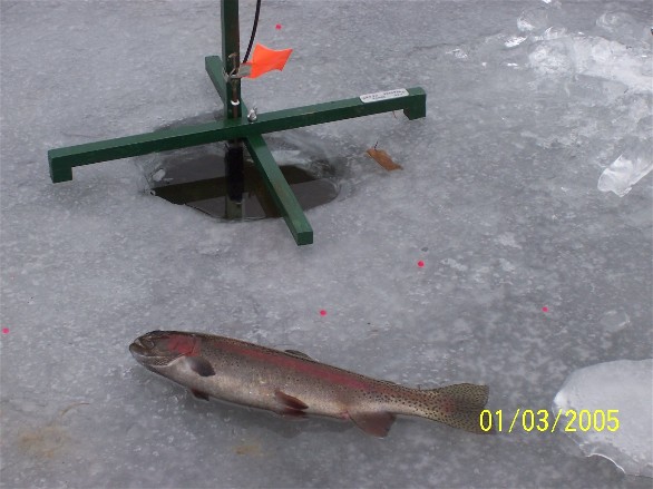 First 'bow of 05