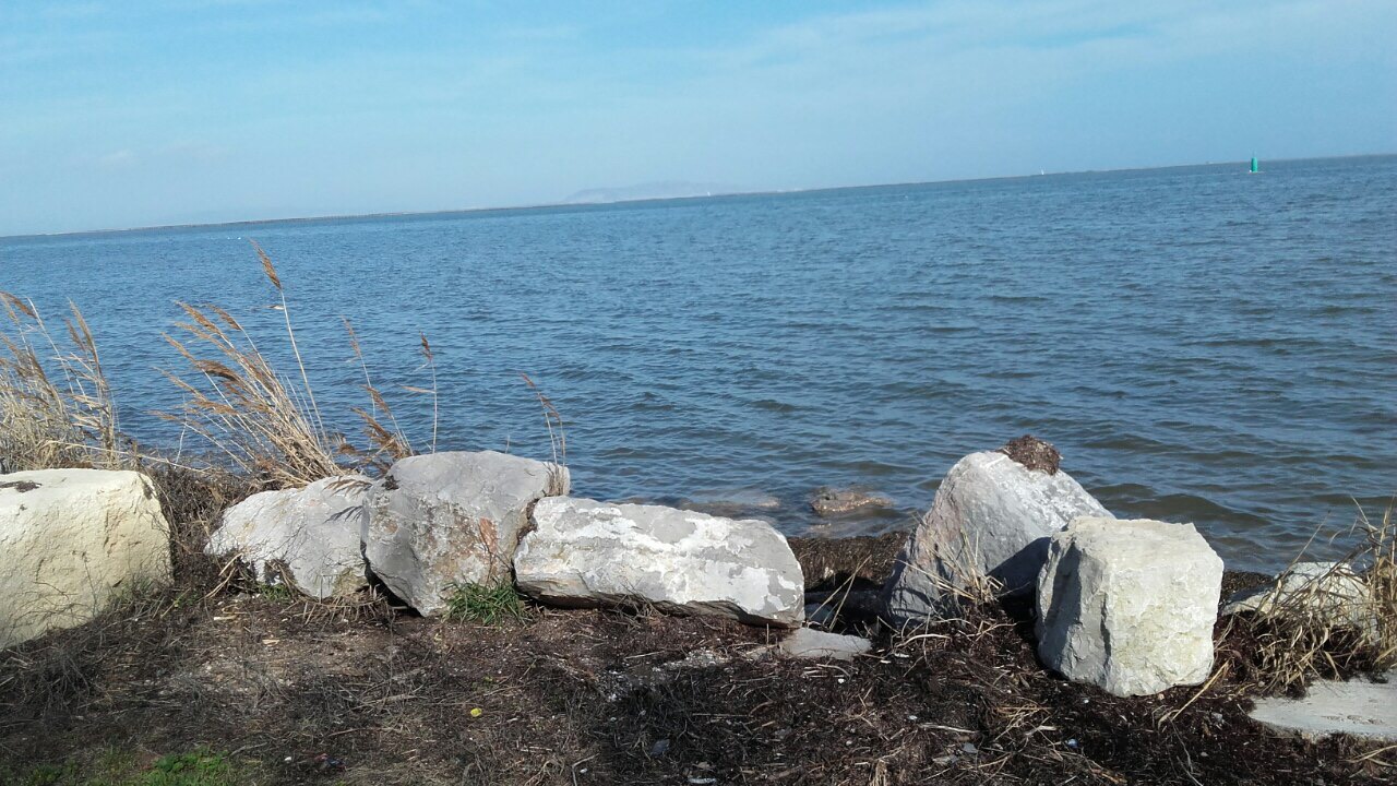 2CE23631-4D58-41C6-86B9-D4DF68B2EF10