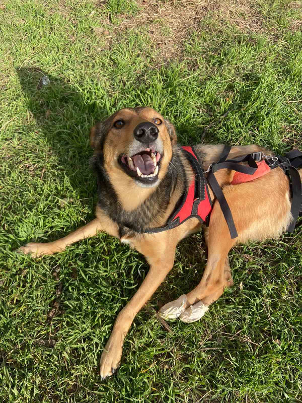 изображение_viber_2024-06-13_16-44-30-355