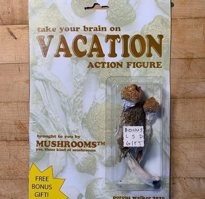 91743050-2923658977655405-86857124528951