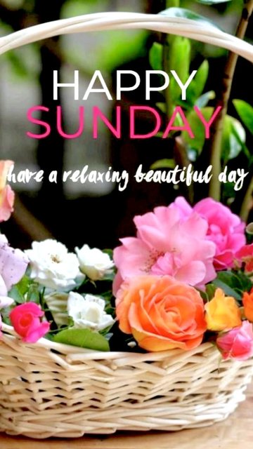 C1796310-847C-4221-BC7E-1A1D54A12297