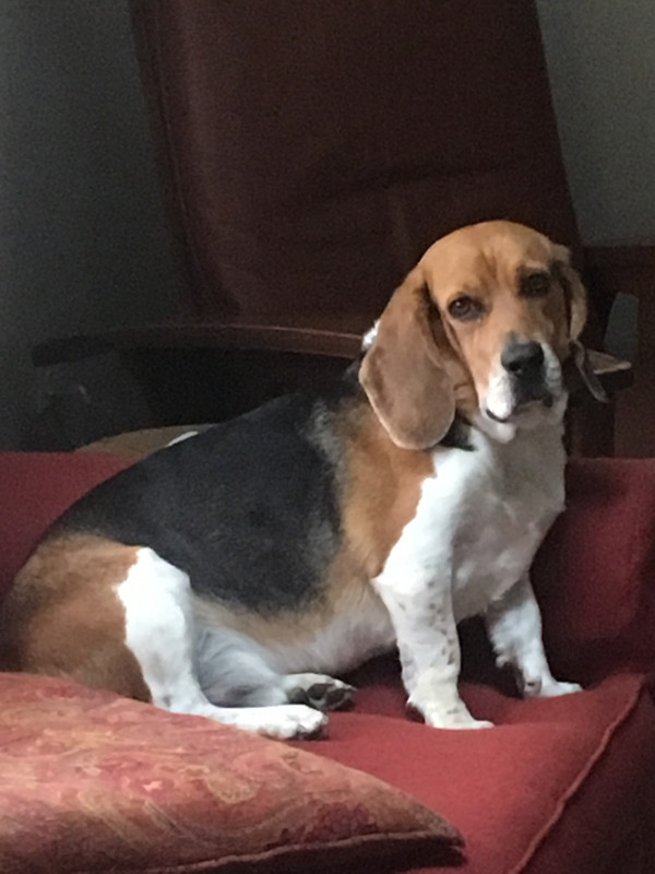 84830F82-CA77-4F99-9DC1-E0245D7CBC76