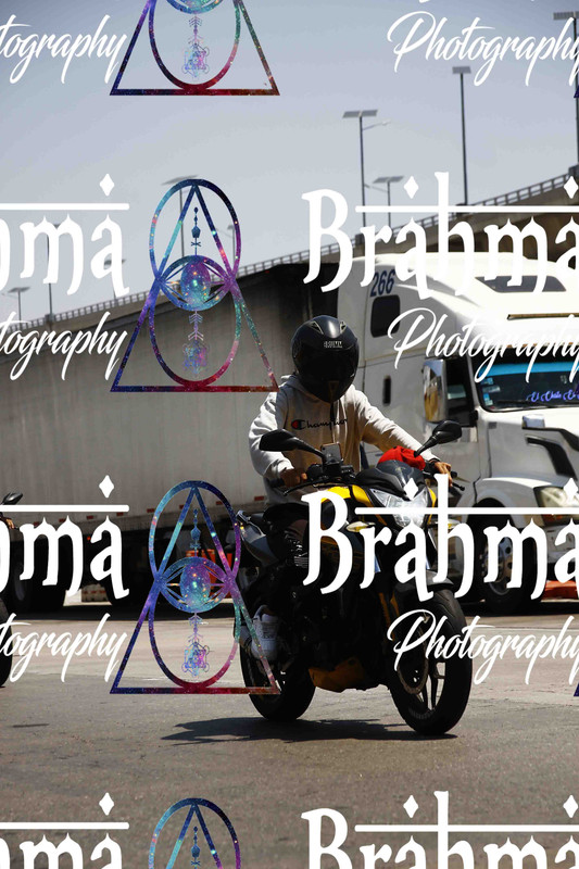 MG 3605 — Postimages