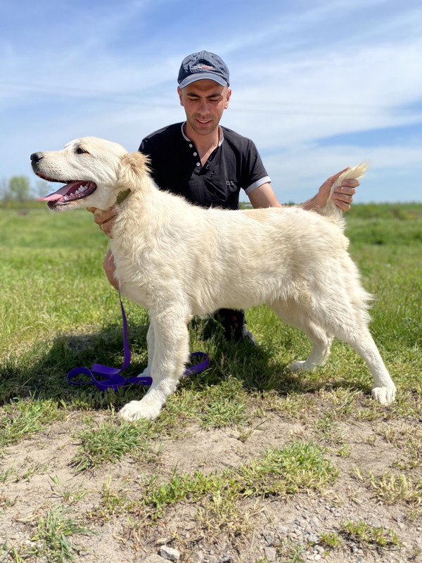 832C408A-A8FF-4D63-BC1D-9E5261D7C8FB