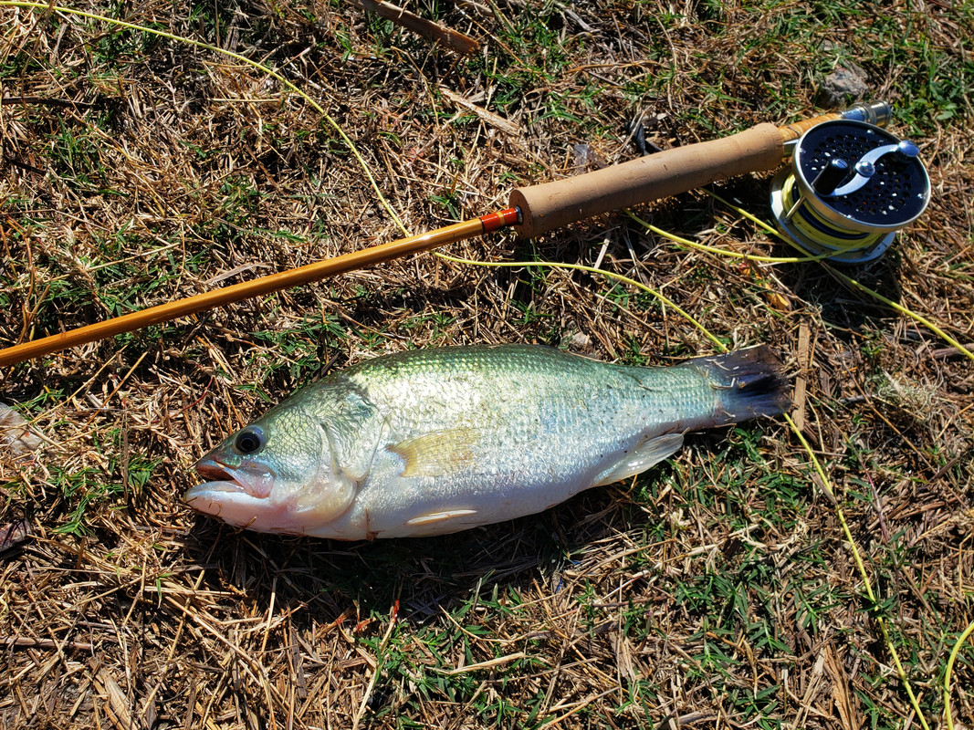 20231210_124550_mr1702208323714