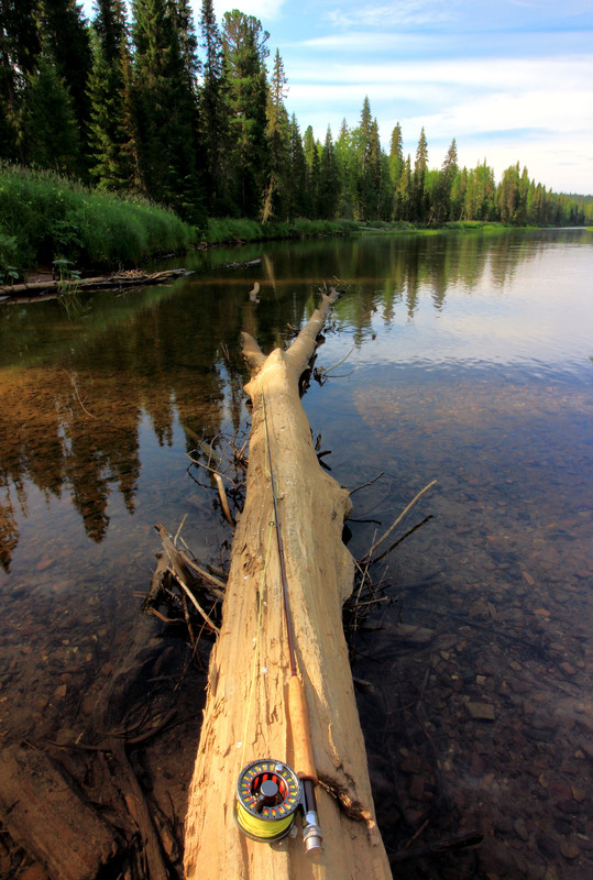 IMG_5992 (3348 x 4968)