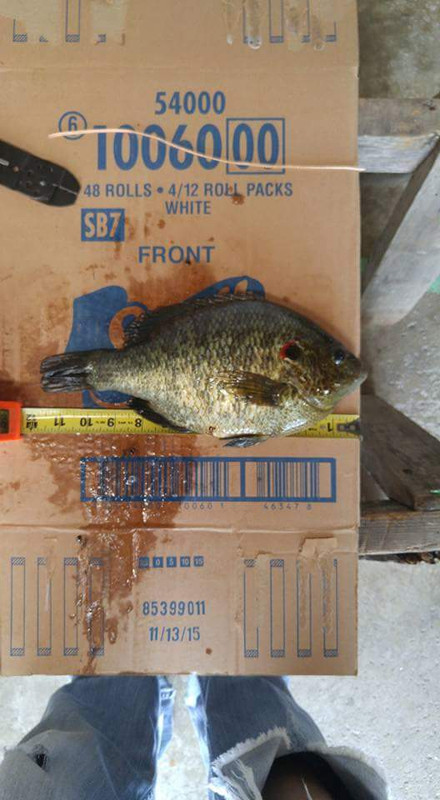 FB_IMG_1514722022968