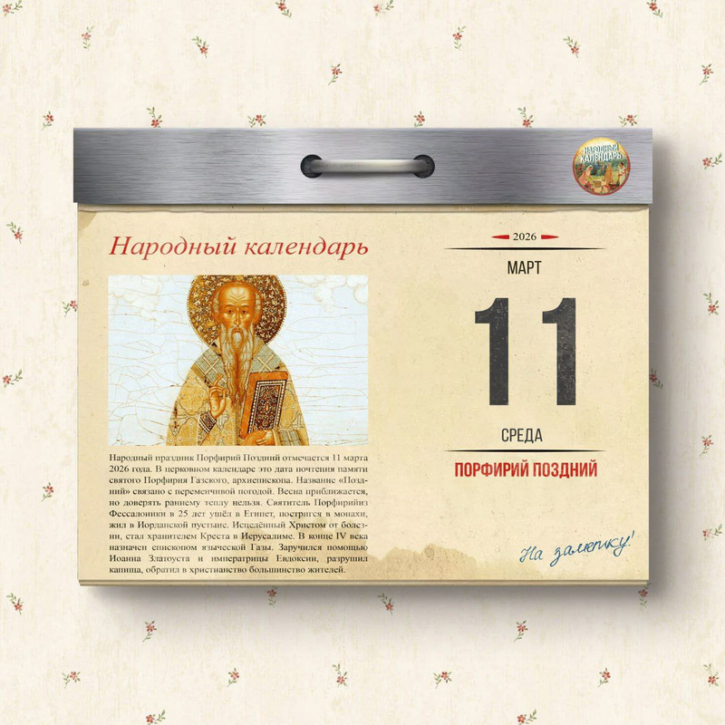 [Изображение: photo-2026-03-11-04-55-17.jpg]