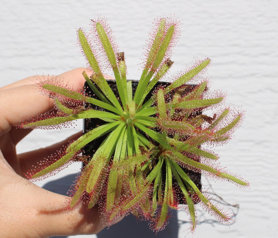 CED07E53-E475-41B0-BFC8-41A0DA41E3F5