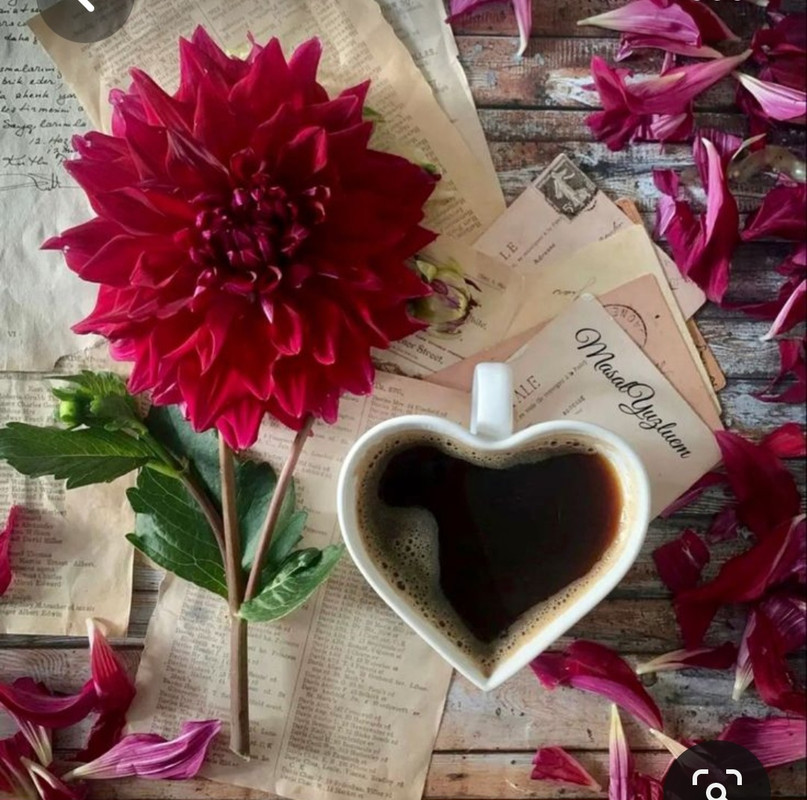 Screenshot_20230731_233753_Pinterest