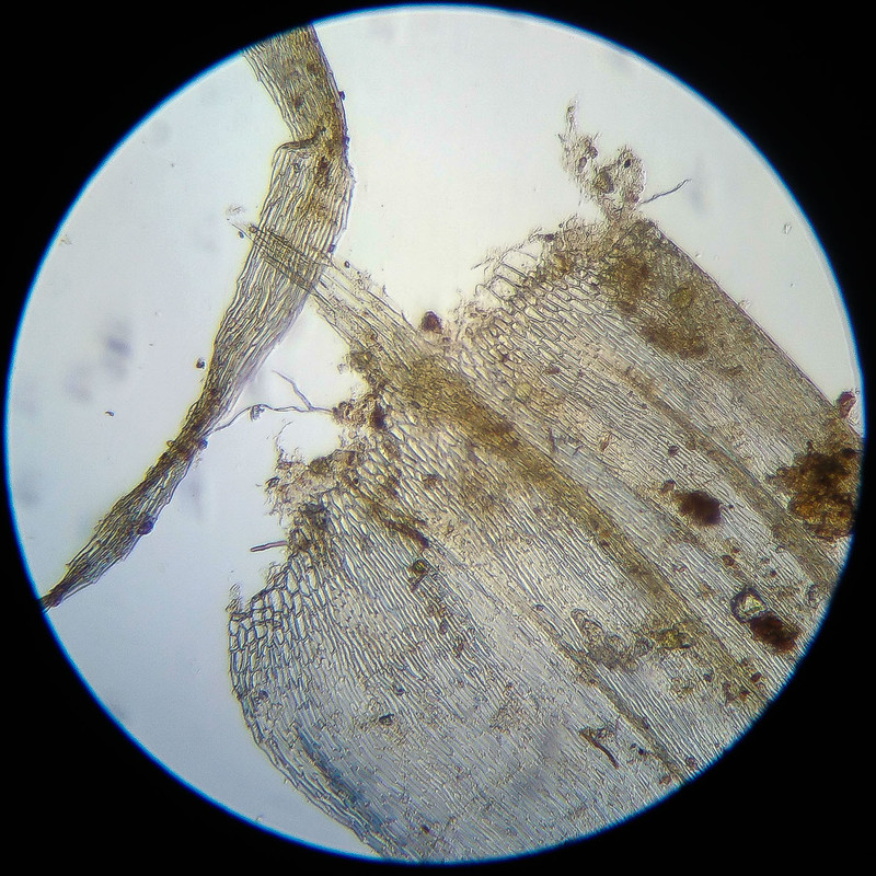 IMG 20250614 122448 HDR