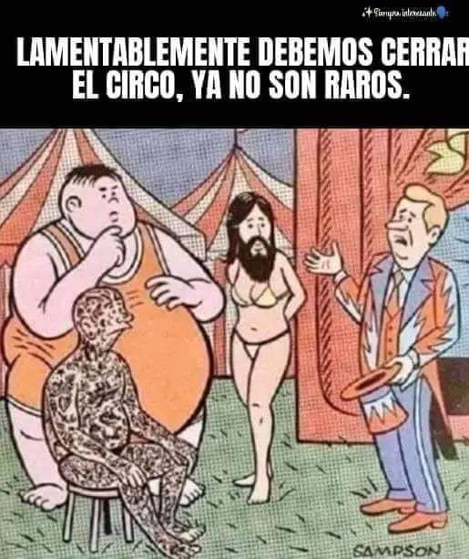 FB-IMG-1713909669477.jpg