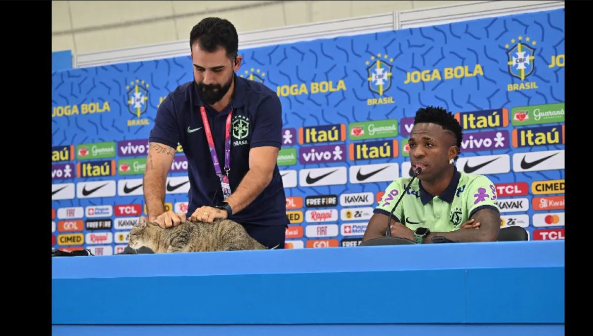 Utilero de la Selección brasileña lanza a gato que se atravesó en plena conferencia