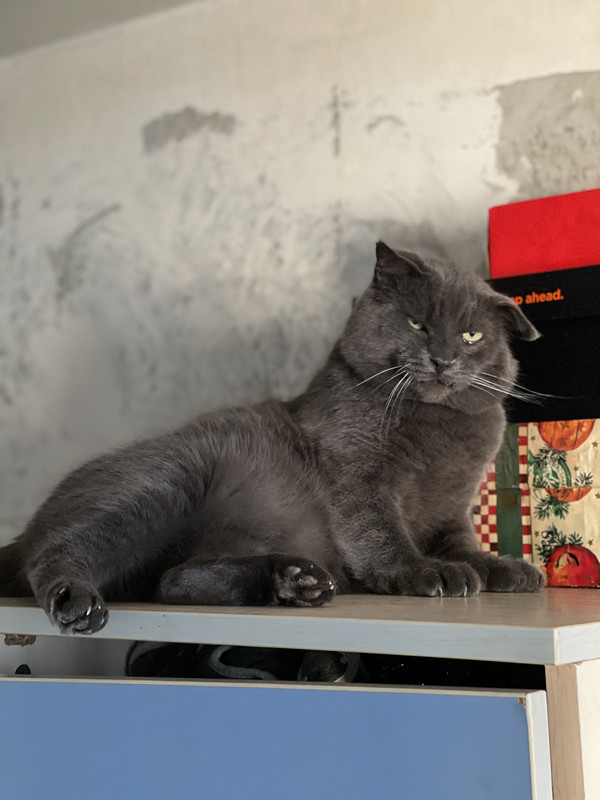 CF0892F5-FA4B-4D85-AF79-A82A3B3E884A