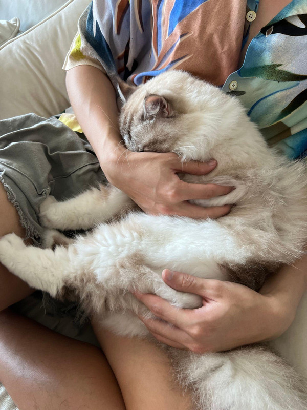 oEDVADA1IC1FfEEjXf91AX3AsVxodg3bACAAFn~tplv-dy-aweme-images-v2_3000_3000_q75