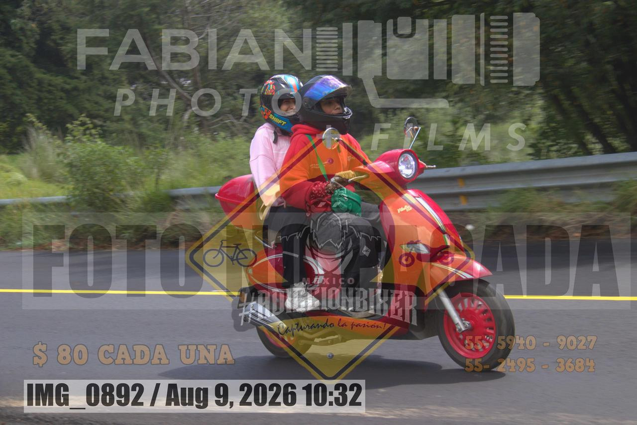 IMG 0892