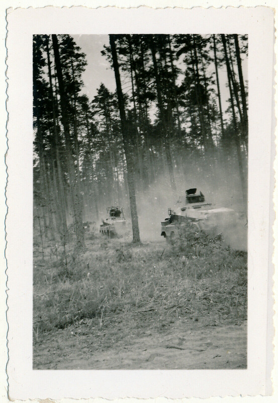 FOTO 2 WK SPÄHWAGEN SDKFZ IM WALD