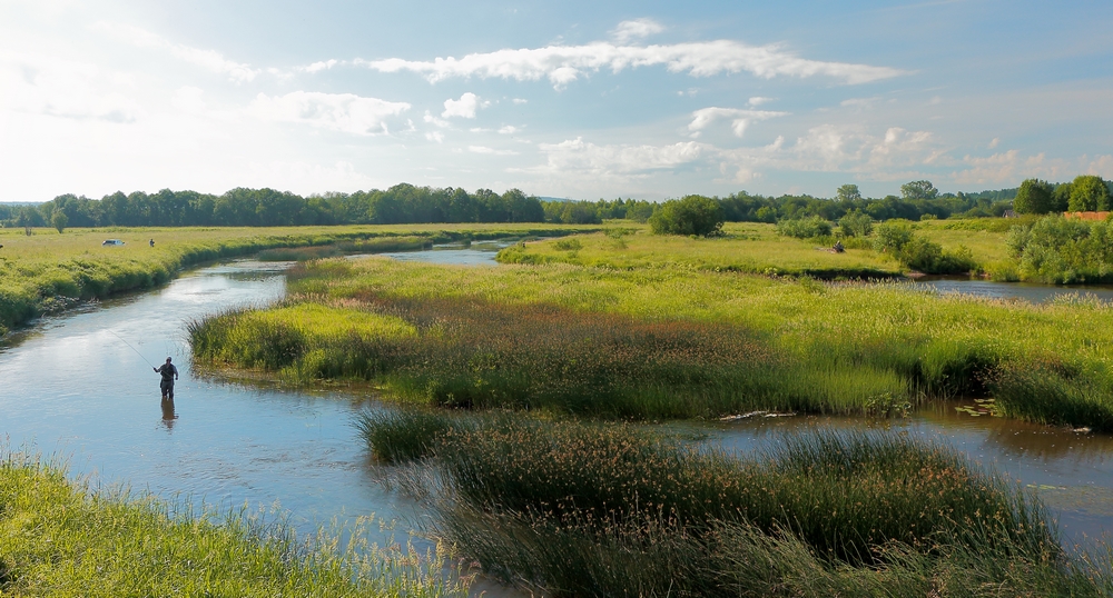 IMG_5721 (Копировать)