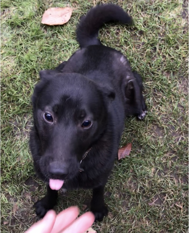 270995A0-938D-426F-9B4E-CF14E2BF040E