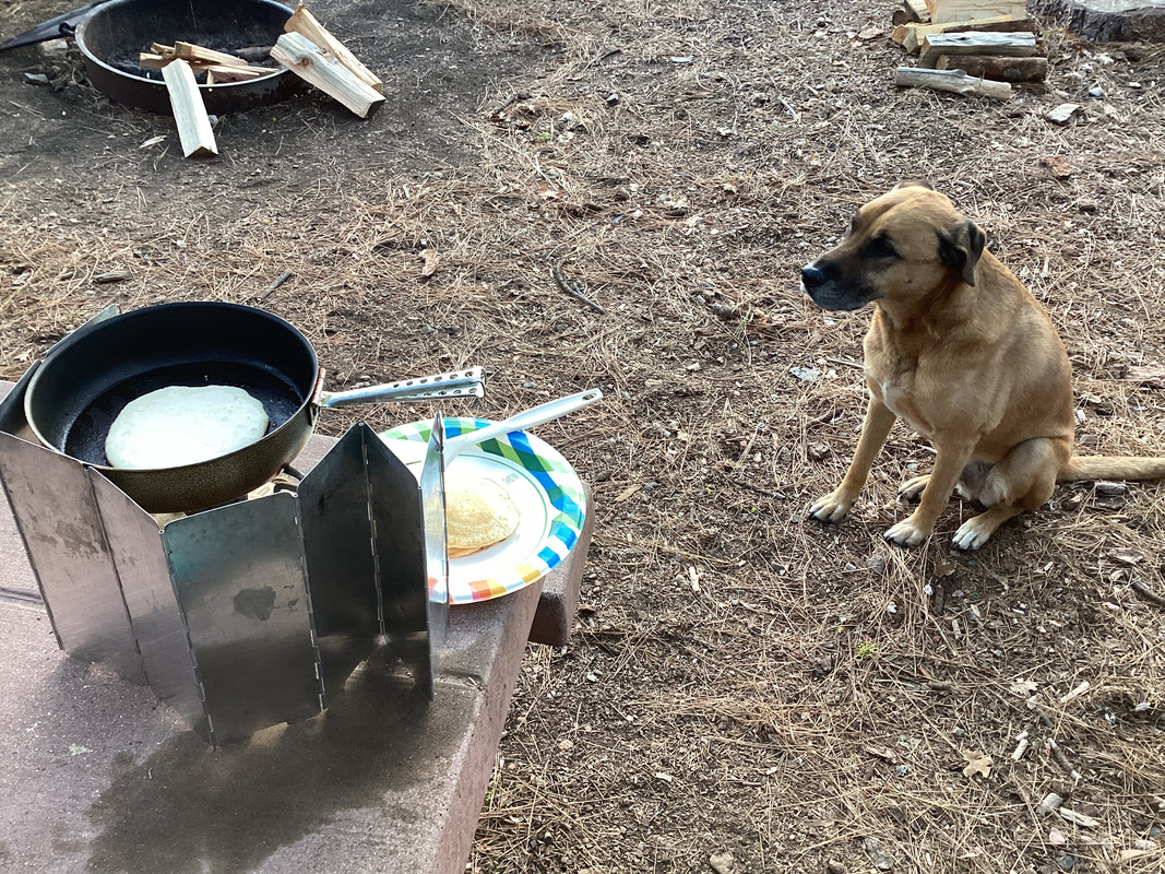 C47F82E1-906C-4D52-A796-E00F397E8362