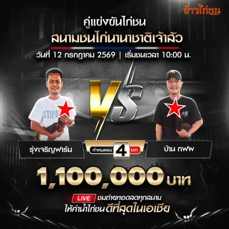 คู่ที่ 2 รุ่งเจริญฟาร์ม พบ บ้าน กฟผ สนามชนไก่นานาชาติเจ้าสัว วันที่ 12 กรกฎาคม 2569