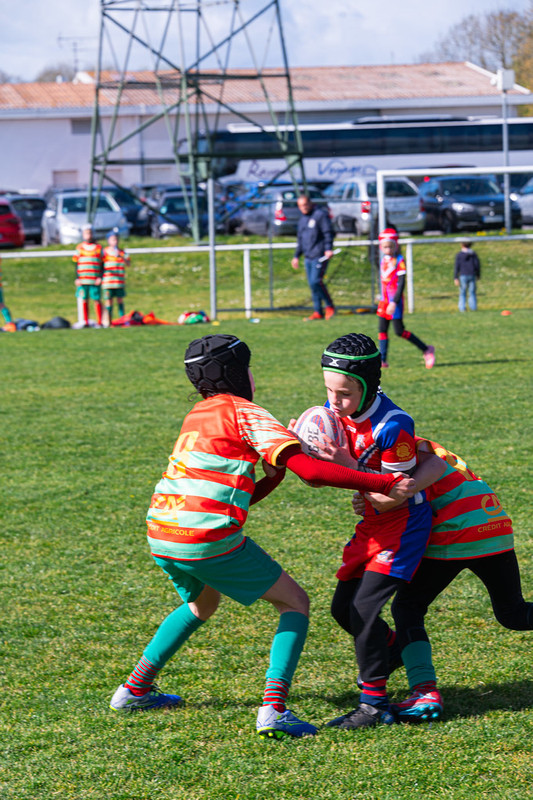 tournoi-de-latlantique-2026-adonis-griffon-155-55181287366-l