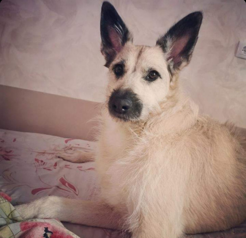 IMG-c61475543c8381ebfd46f384adea6e2d-V