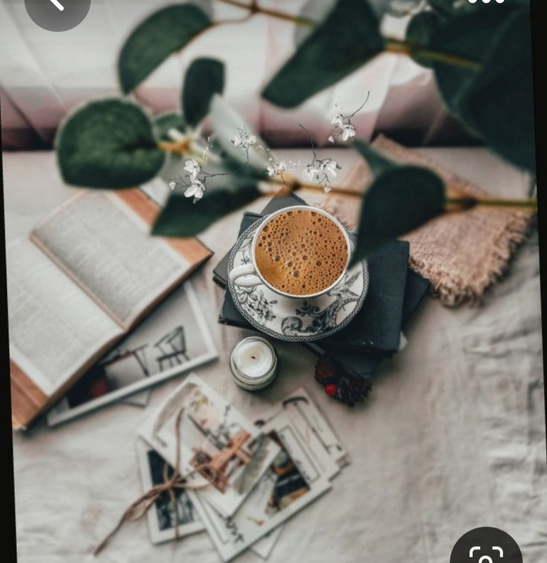 Screenshot_20230806_235425_Pinterest