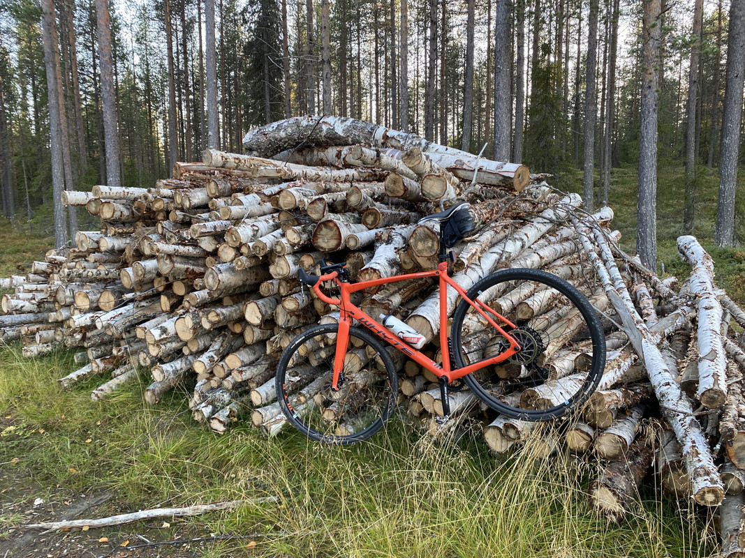 Mandatory STW log-pile filth