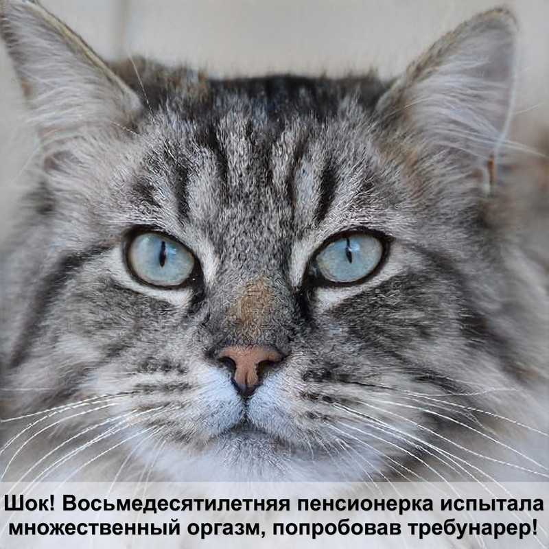 лежанка для кошки