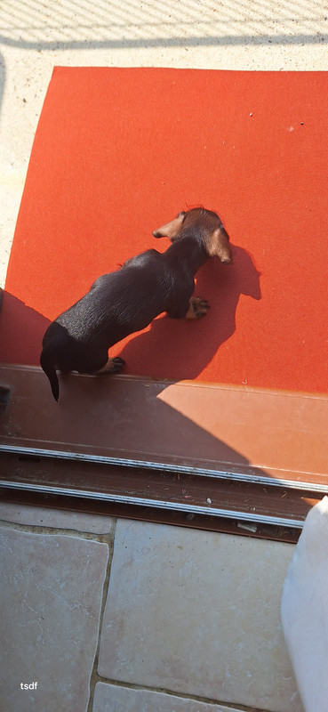 [Image: 20250609-112742.jpg]