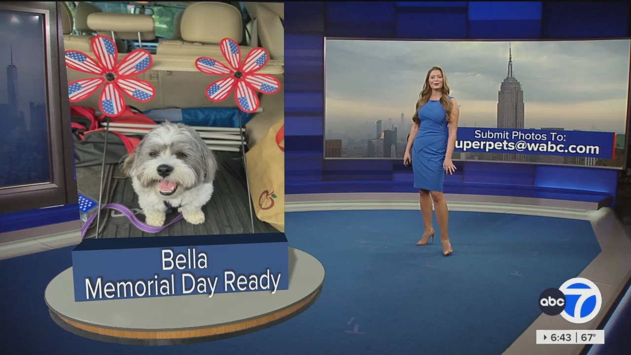 Eyewitness News Sunday Morning_20240526_11001230.ts_snapshot_00.44.44.794