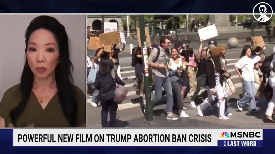 abortion x 101 v frames 25 frame 21