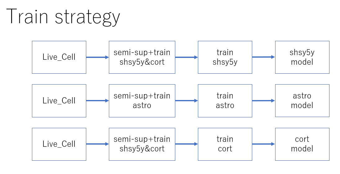 train_strategy