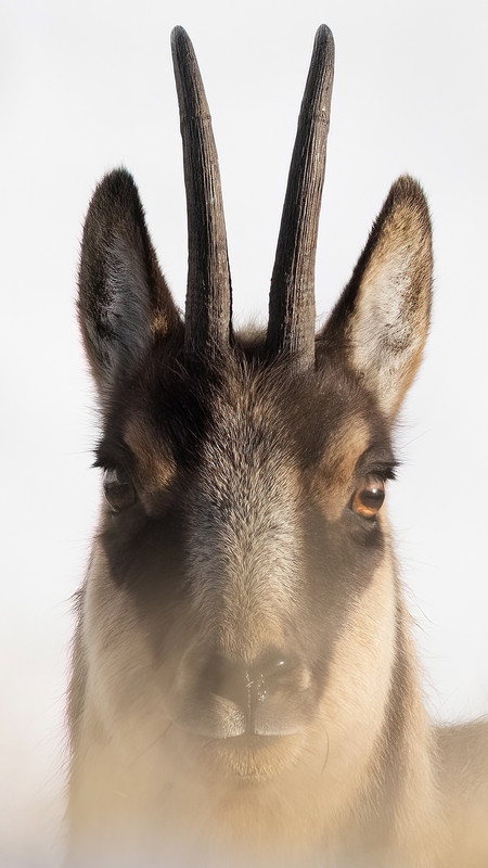 5DCE35D0-7743-4D1B-B61B-F1BED16A1BF9