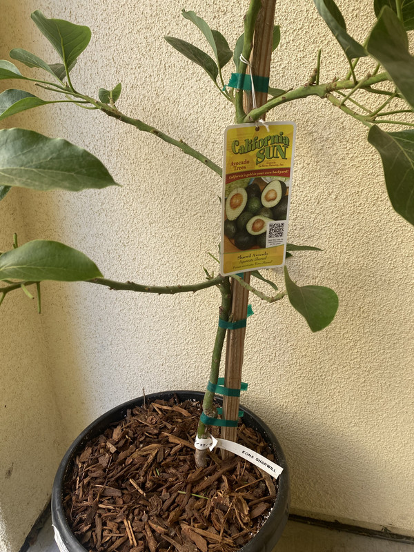 6F338EA4-B336-4F89-A15B-15B129F93B0B