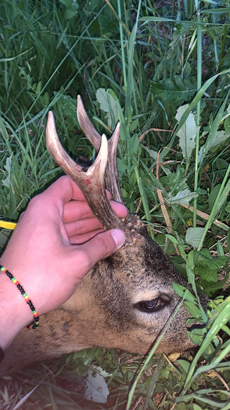 7D38EB40-1426-4B9D-BFAA-7912A67AA6FC