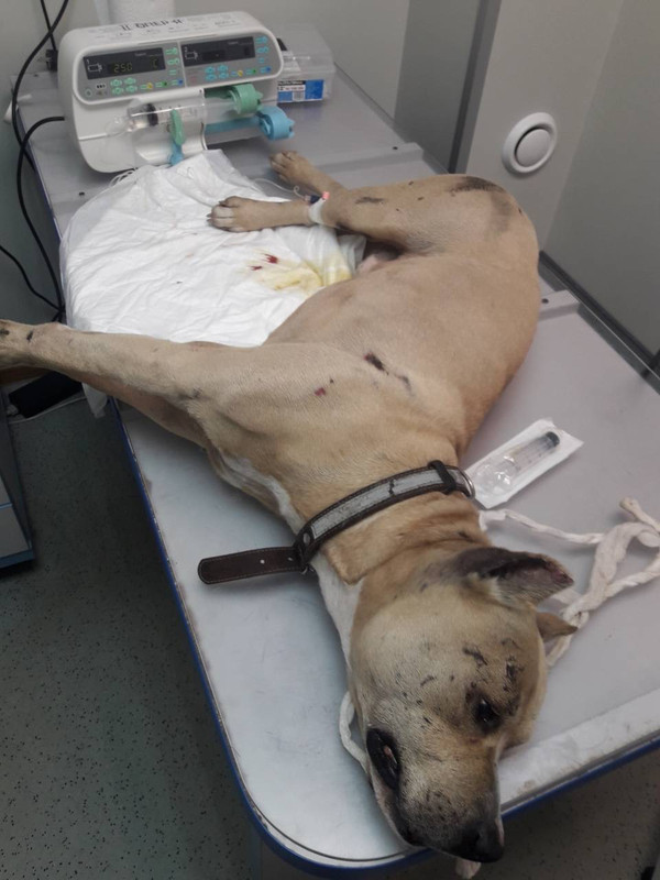 0DC3C6CA-90A1-4C9D-BC74-84209AAE372B