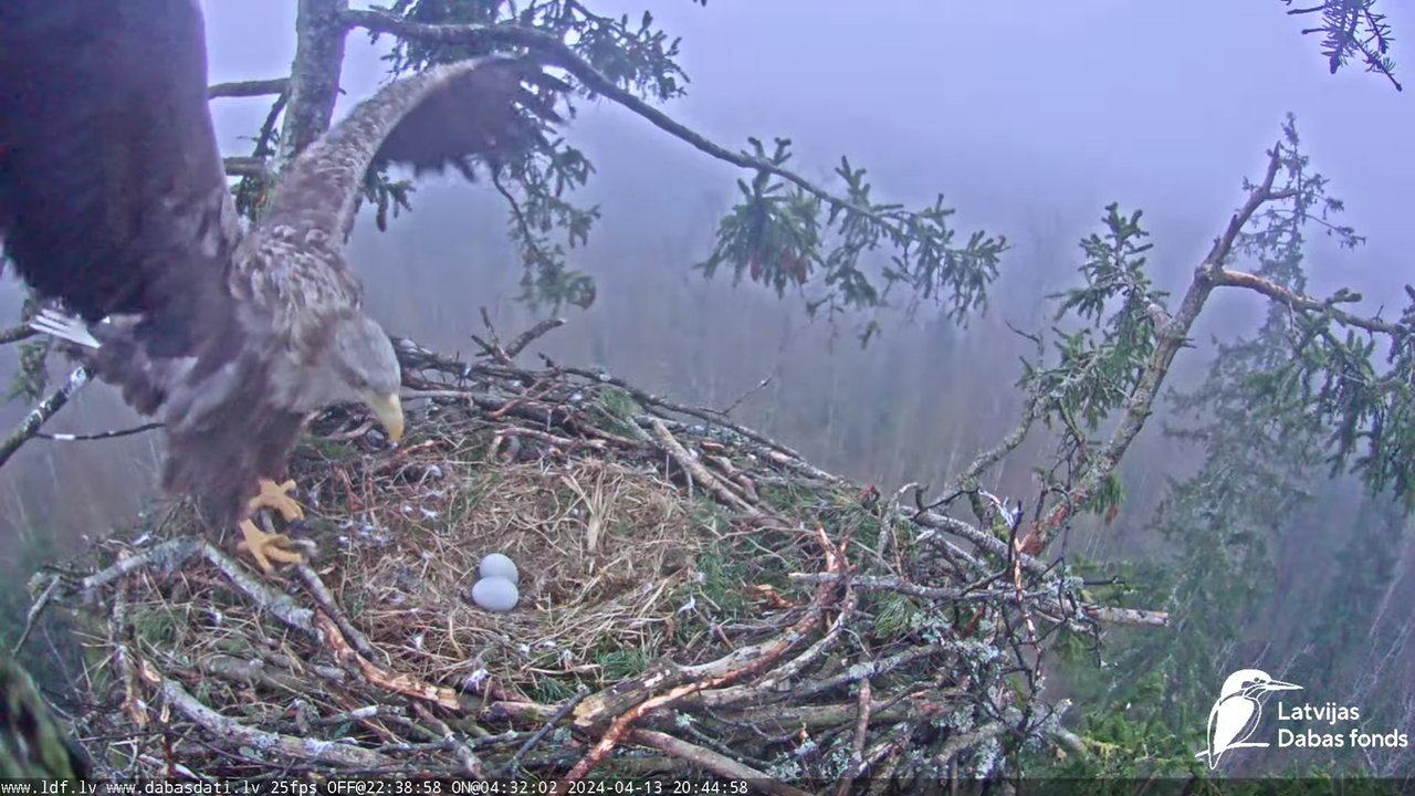 Screenshot (81036) - Copy