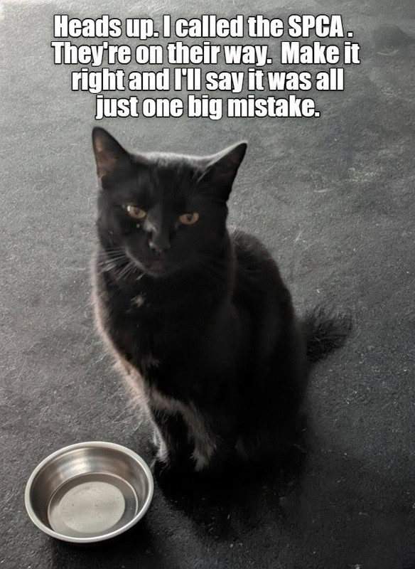 or just fill my bowl