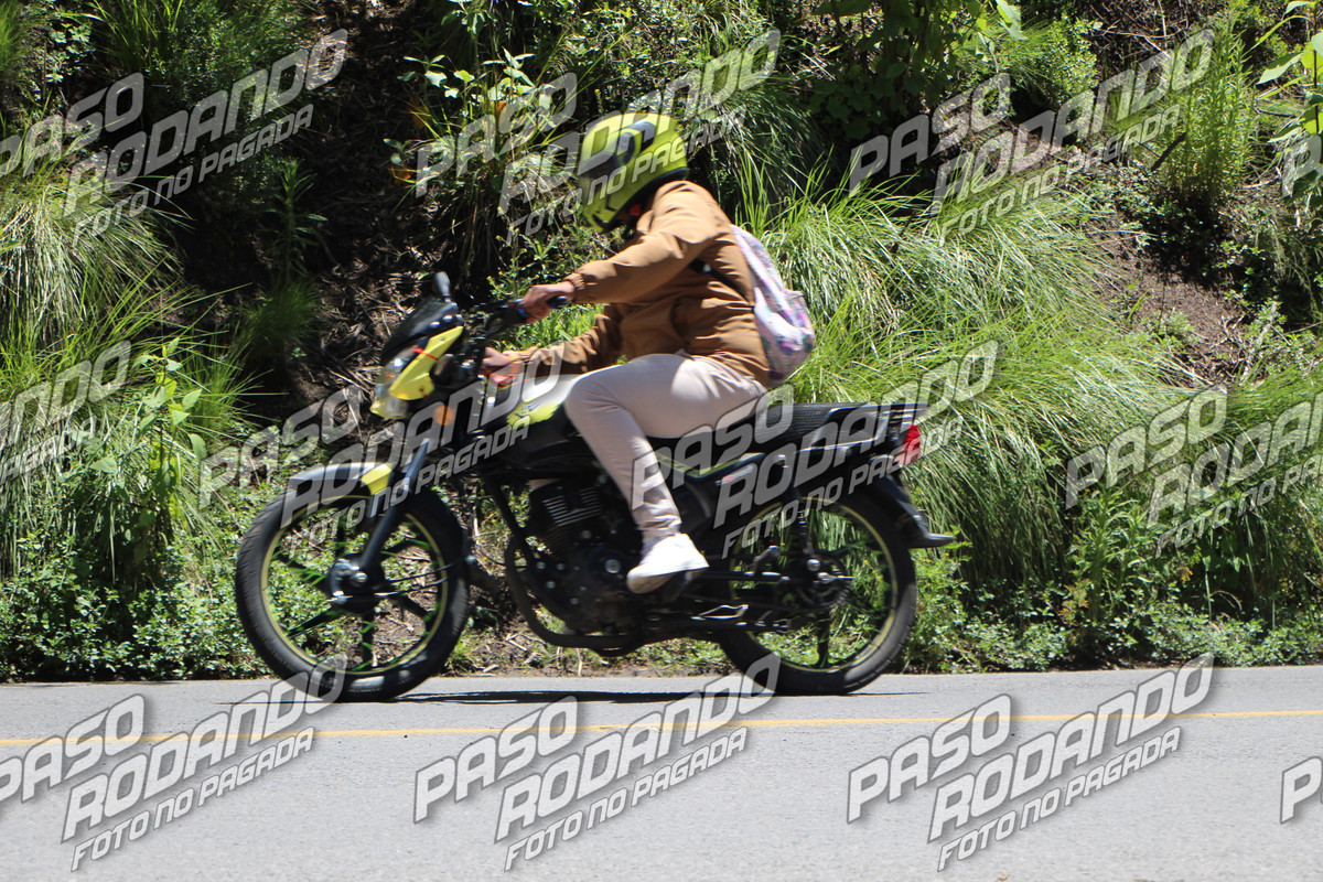 IMG 7134 wm 259110 watermarked — Postimages