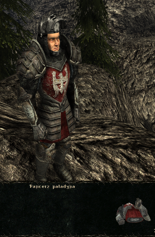 pancerze i ubrania (2)