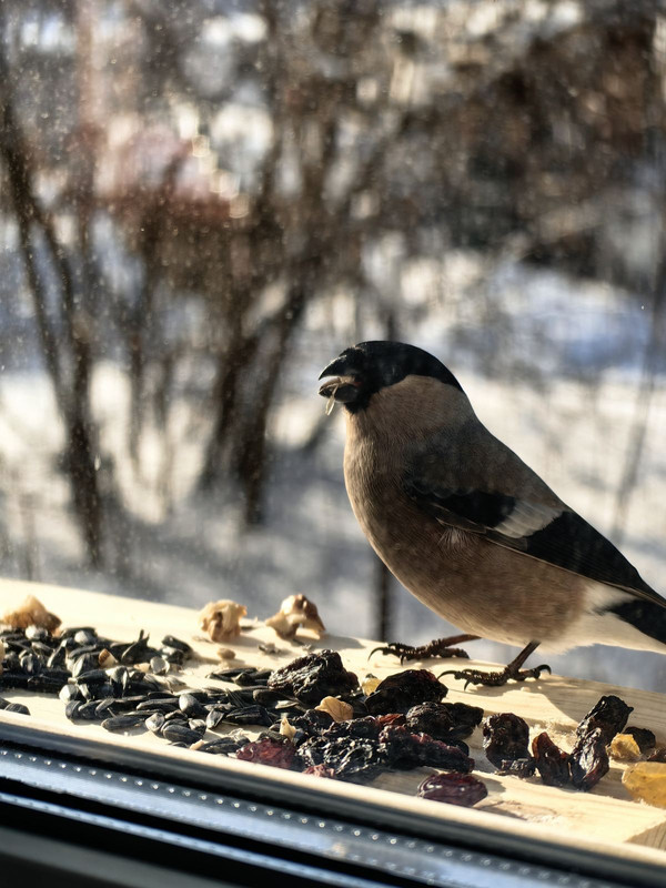 изображение_viber_2024-04-07_09-12-03-019