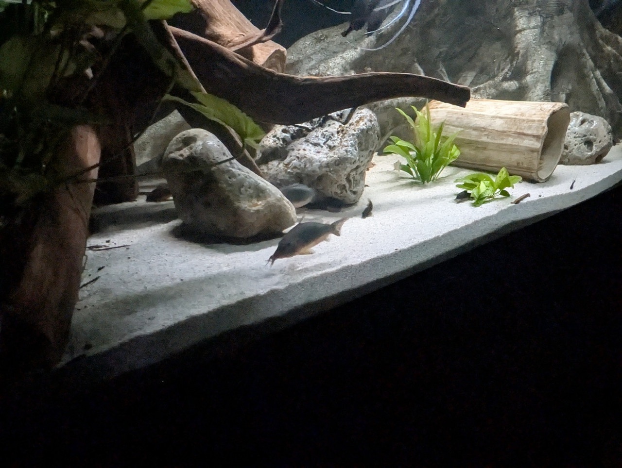 PXL 20251227 193820449 RAW 01 COVER