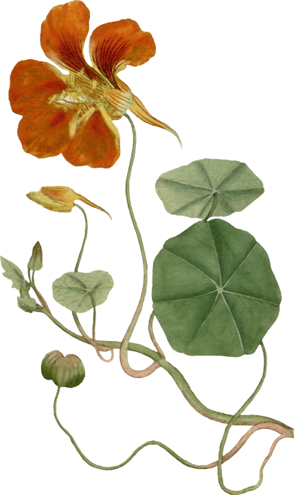 Autumn Witchery (114)