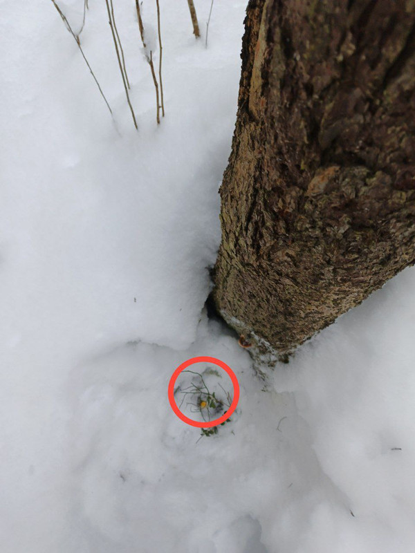 IMG 20260212 214409 754