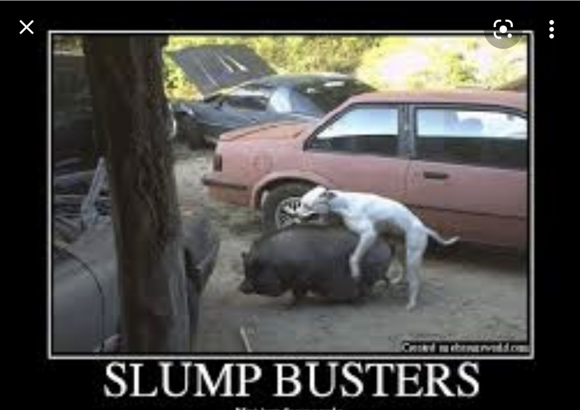 37A12505-6561-4F5F-A1F7-01A233F0DD75