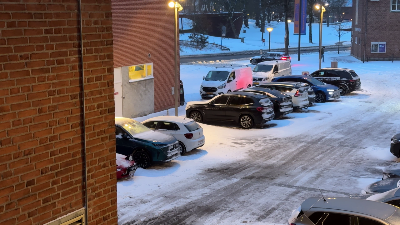 vlcsnap 2026 03 17 14h19m30s546