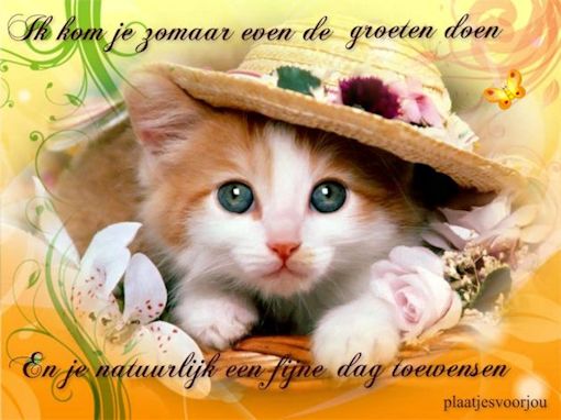 1-Martje-poesje-met-hoed